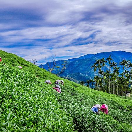 شقة Look Tea House Meishan المظهر الخارجي الصورة