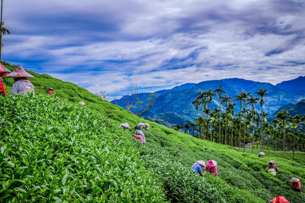 شقة Look Tea House Meishan المظهر الخارجي الصورة